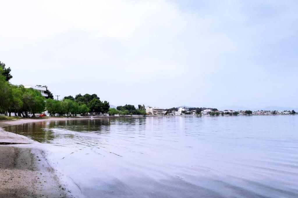Paralia Avlidhos Πολυτελές Διαμέρισμα 2 Χαλκίδα-Παραλία Αυλίδος מראה חיצוני תמונה